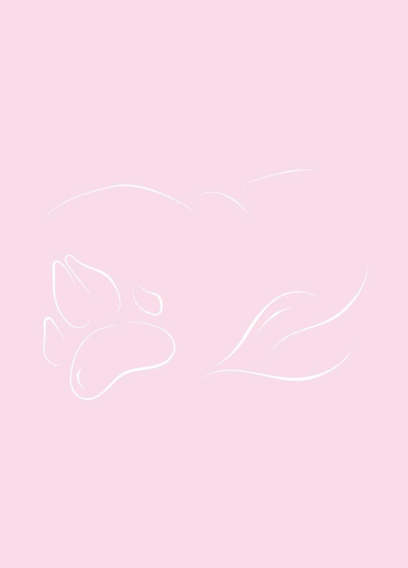 Meditační deníček – Berková Judita