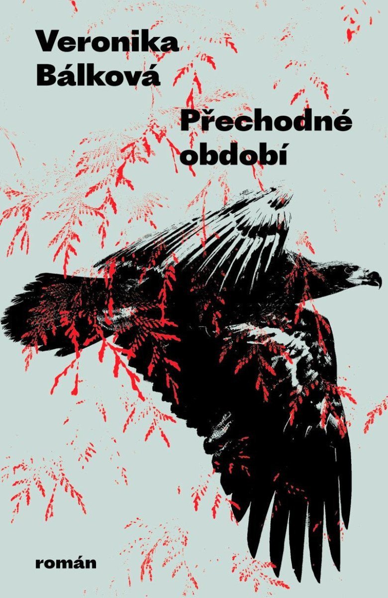 Přechodné období – Bálková Veronika