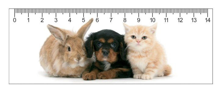 Pravítko - The Trio