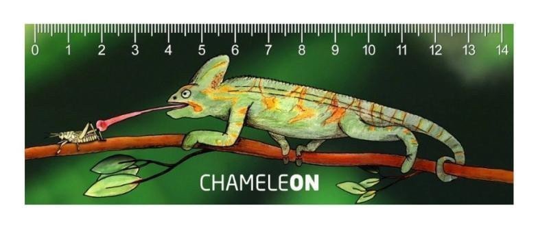 Pravítko 3D - Chameleon