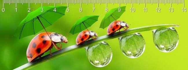 Pravítko 3D - Rainy Day