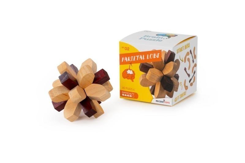 Recenttoys Hlavolam Brain Puzzle 2 - Temenní lalok