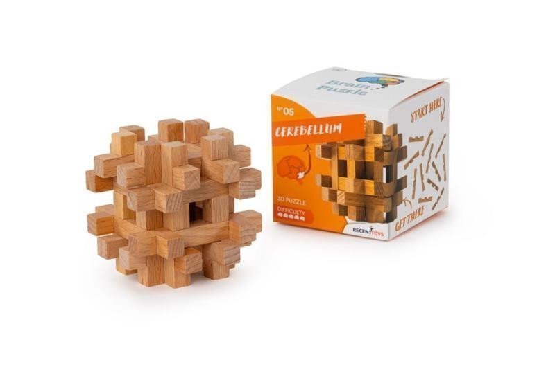 Recenttoys Hlavolam Brain Puzzle 5 - Mozeček