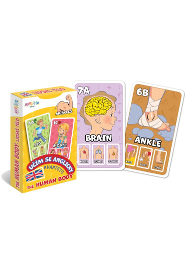 Kvarteto Učím se anglicky - The Human Body