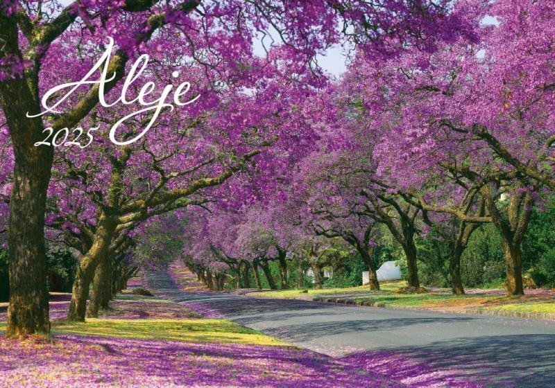 Kalendář 2025 Aleje nástěnný 485 x 34 cm