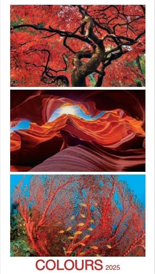 Kalendář 2025 Colours nástěnný 33 x 60 cm