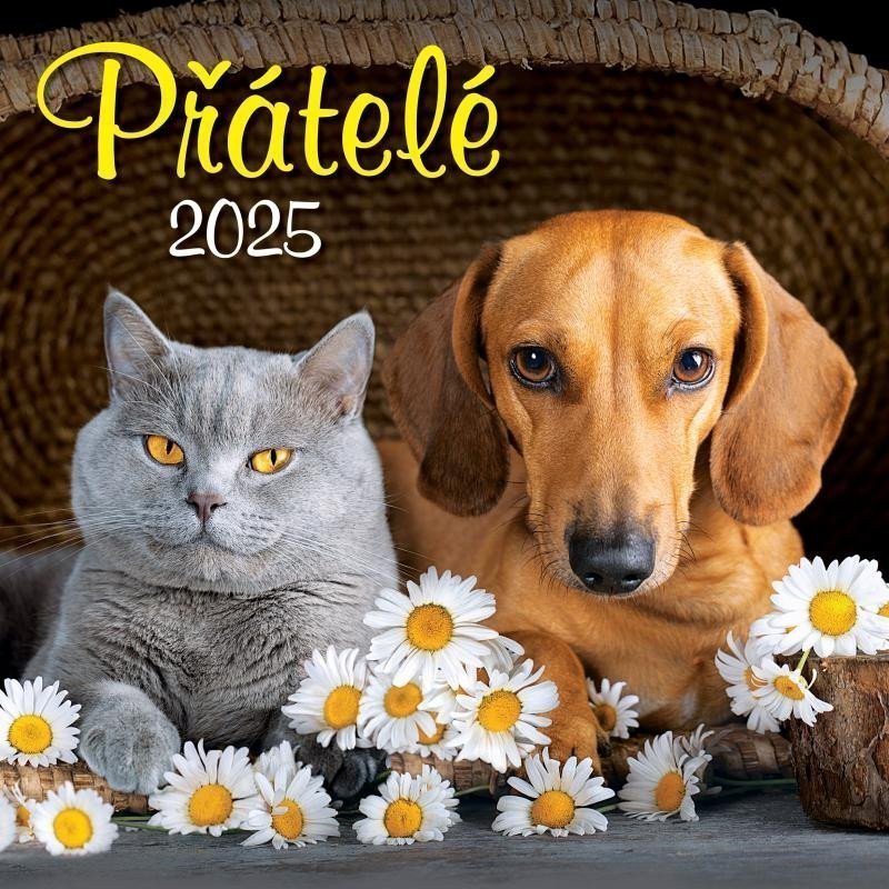 Kalendář 2025 Přátelé nástěnný 33 x 33 cm