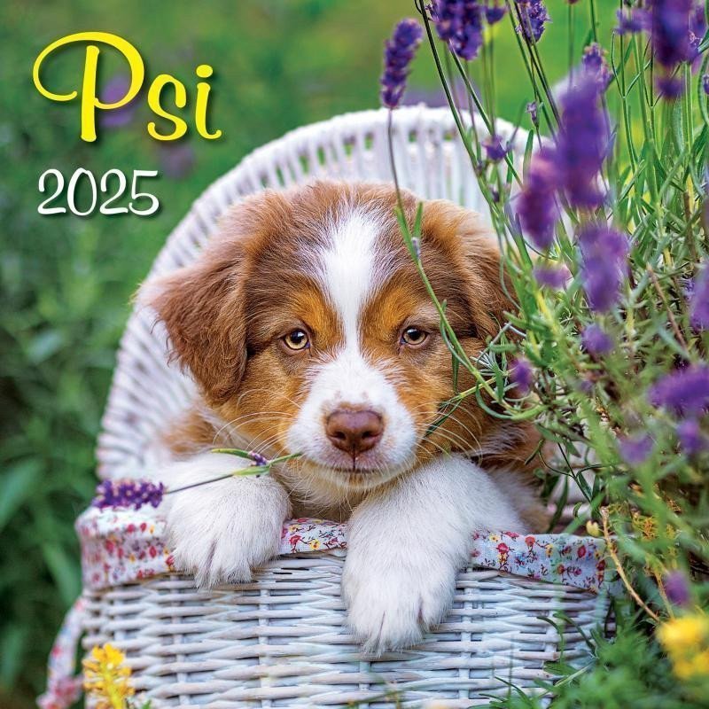 Kalendář 2025 Psi nástěnný 33 x 33 cm
