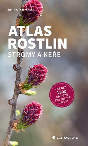 Atlas rostlin - Stromy a keře – Kremer Bruno P