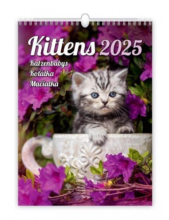 Kalendář nástěnný 2025 - Kittens  Katzenbabys  Koťátka  Mačičky