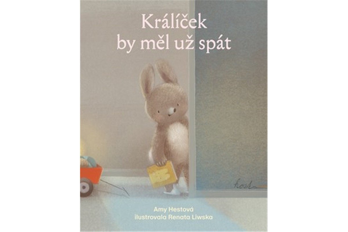 Králíček by měl už spát – Hest Amy