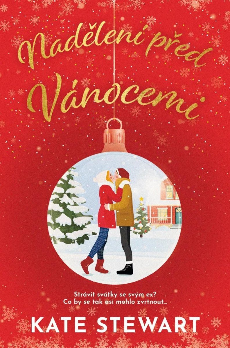 Nadělení před Vánocemi – Stewart Kate