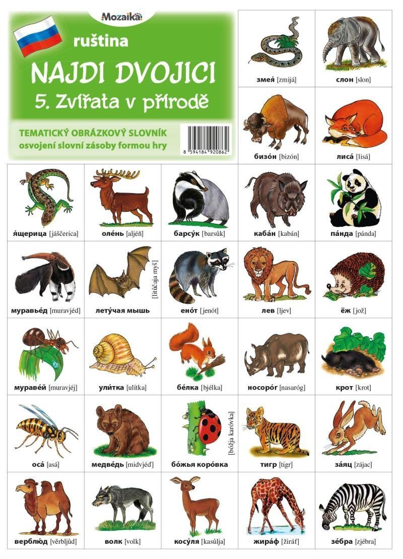 Najdi dvojici - Ruština - 5 Zvířata v přírodě