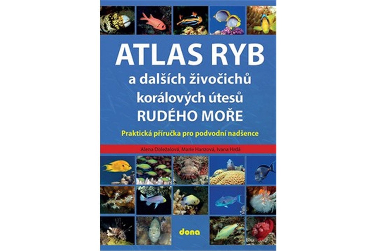 Atlas ryb a dalších živočichů korálových útesů Rudého moře - Praktická příručka pro vodní nadšence – Doležalová Alena