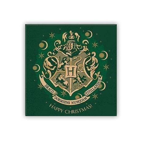 Harry Potter Magnet - Bradavice zelený