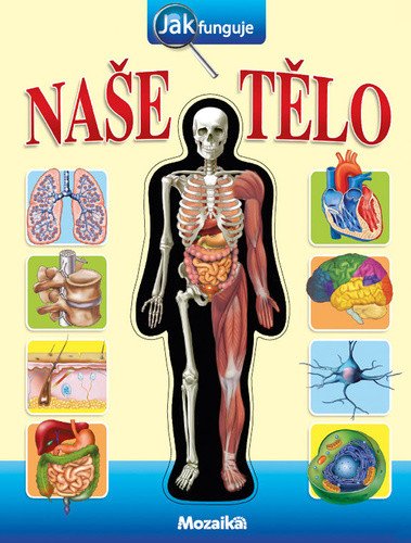 Jak funguje naše tělo