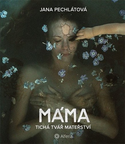 Máma - Tichá tvář mateřství – Pechlátová Jana