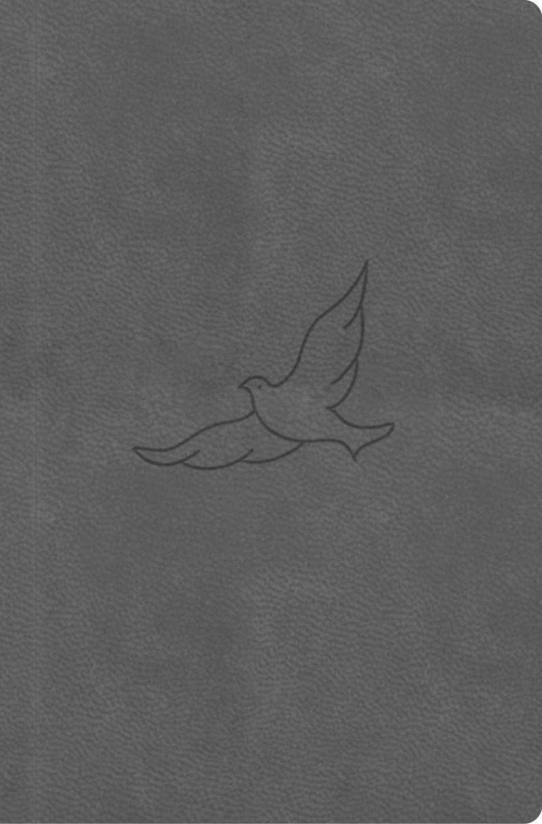 Bible překlad 21 století pepřová - kapesní