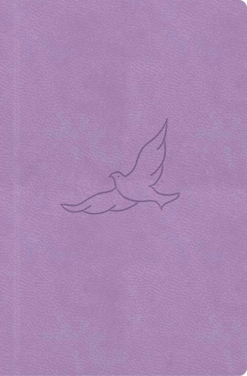 Bible překlad 21 století lila - kapesní