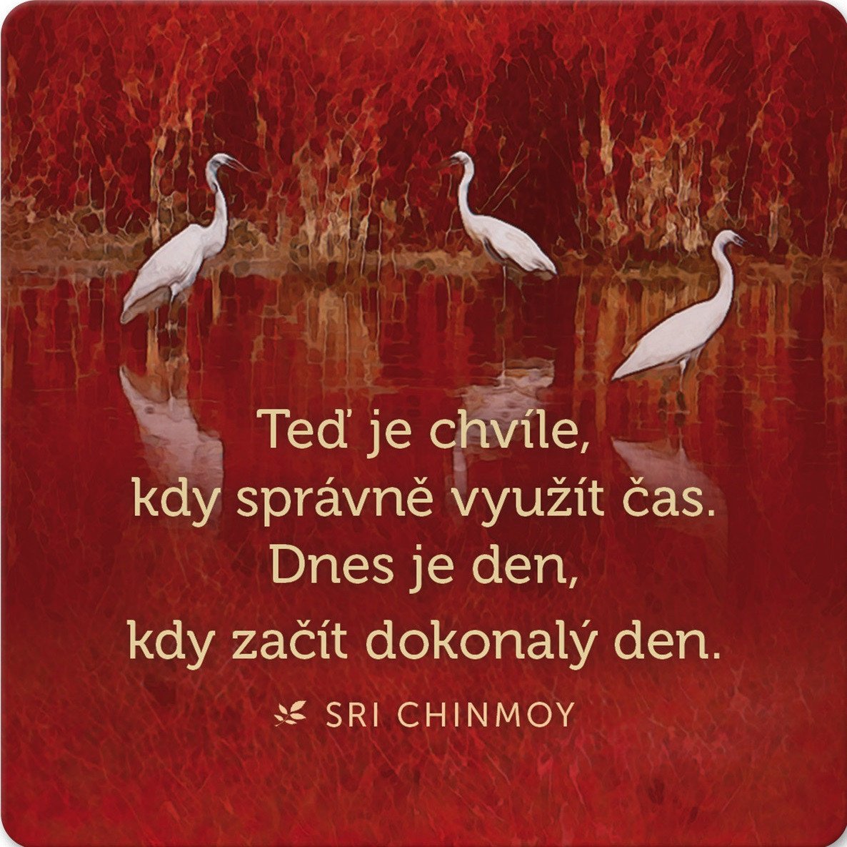 Korkový podtácek s citátem Teď je chvíle kdy správně využít čas Dnes je den kdy začít dokonalý den