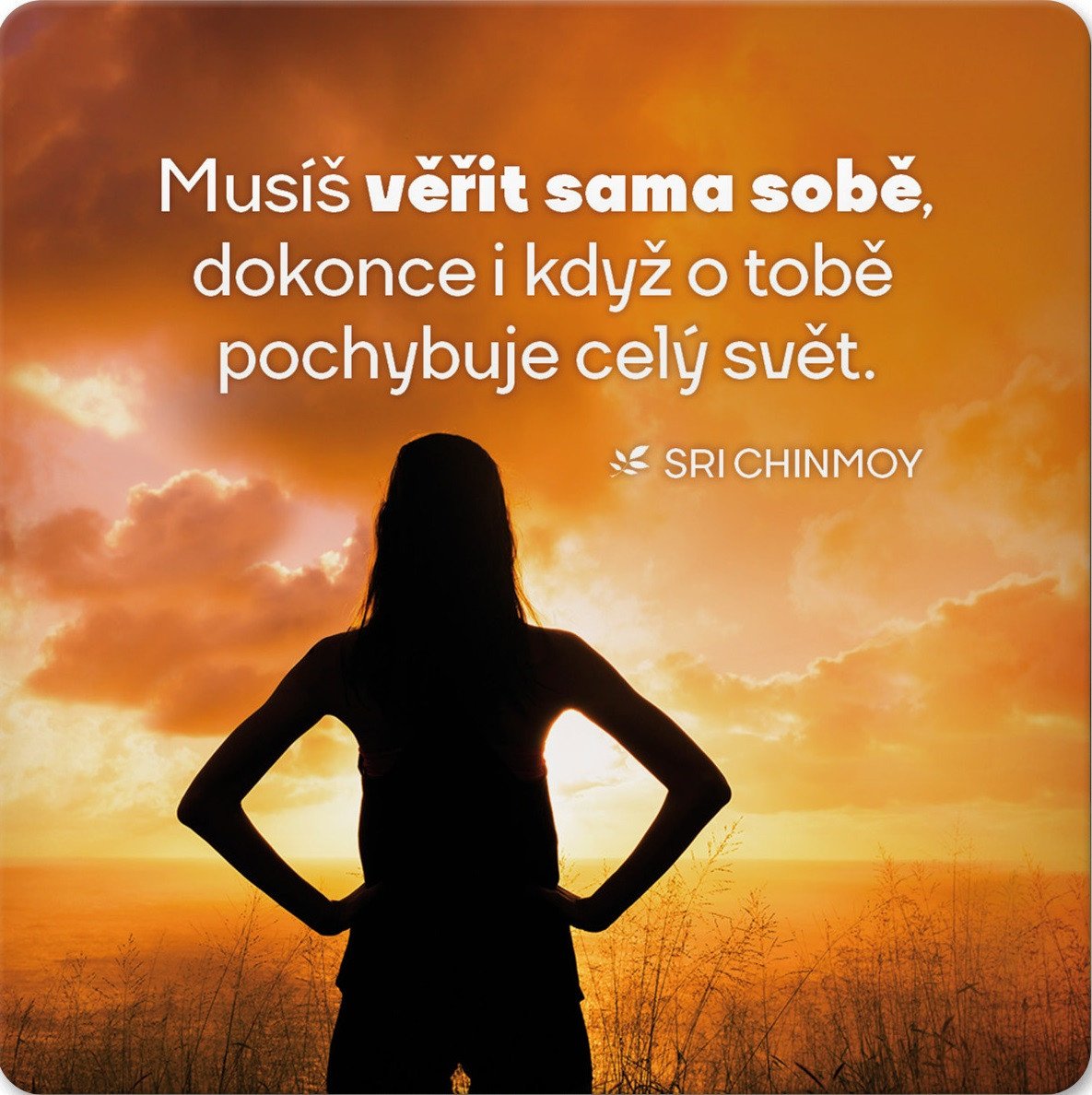 Korkový podtácek s citátem Musíš věřit sama sobě dokonce i když o tobě pochybuje celý svět