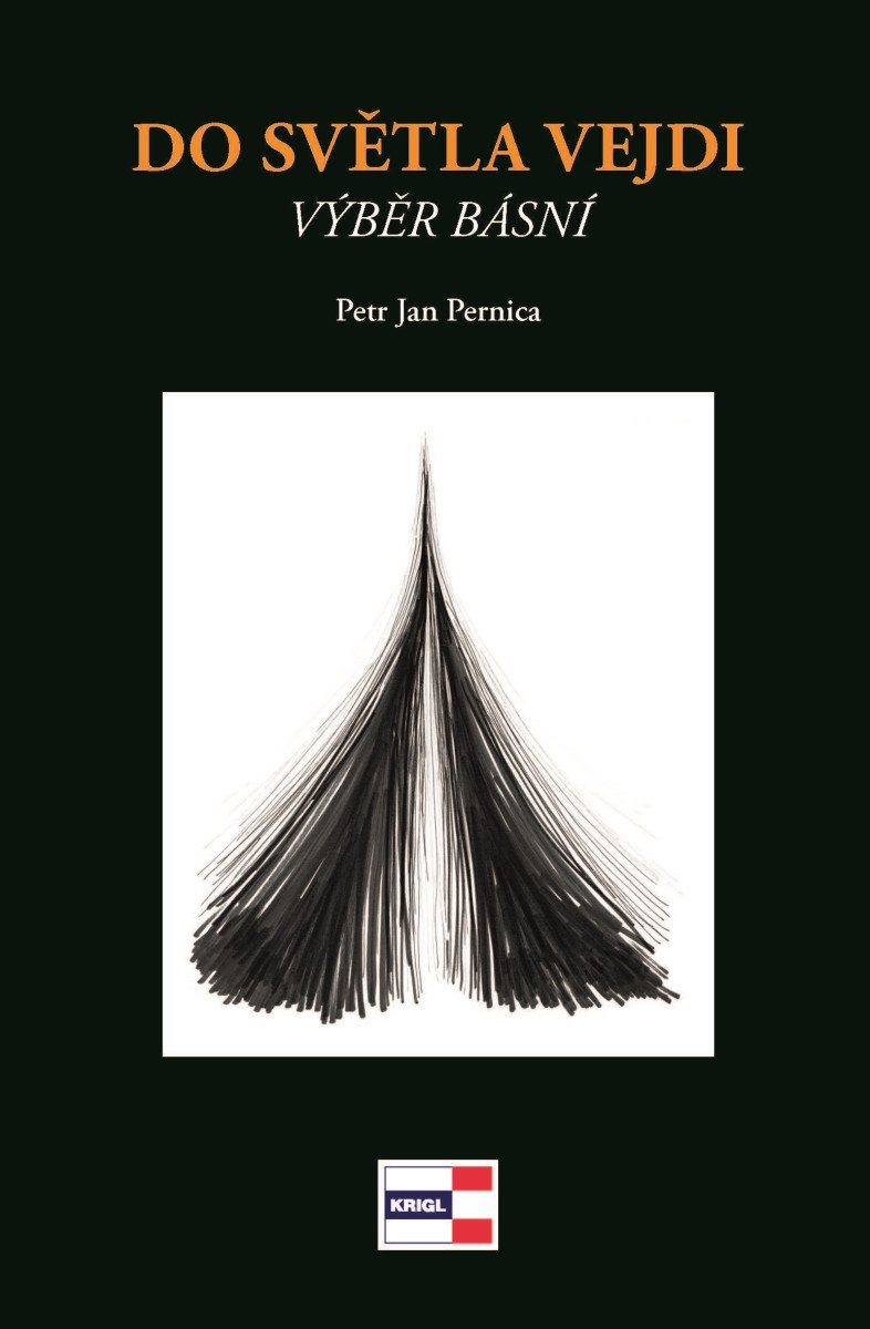 Do světla vejdi – Pernica Petr Jan
