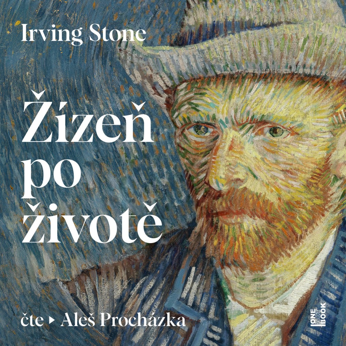 Žízeň po životě - 2 CDmp3 Čte Aleš Procházka