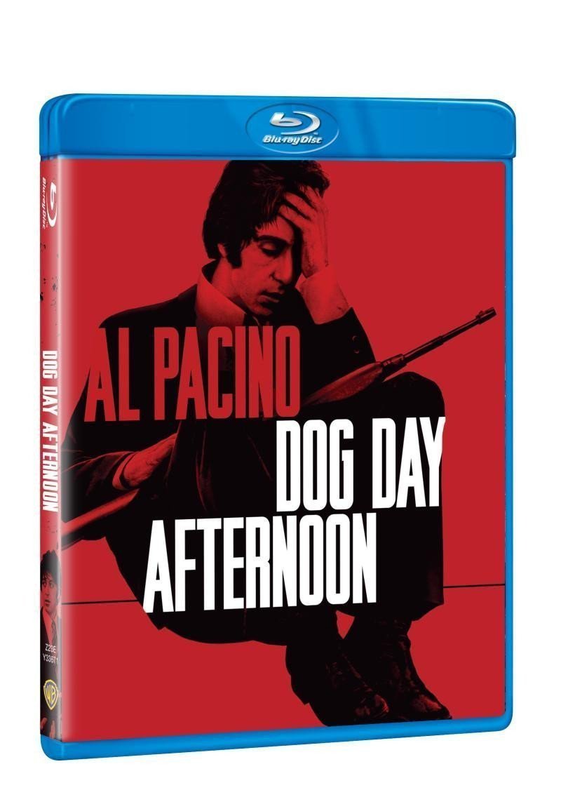 Psí odpoledne bez CZ podpory BD