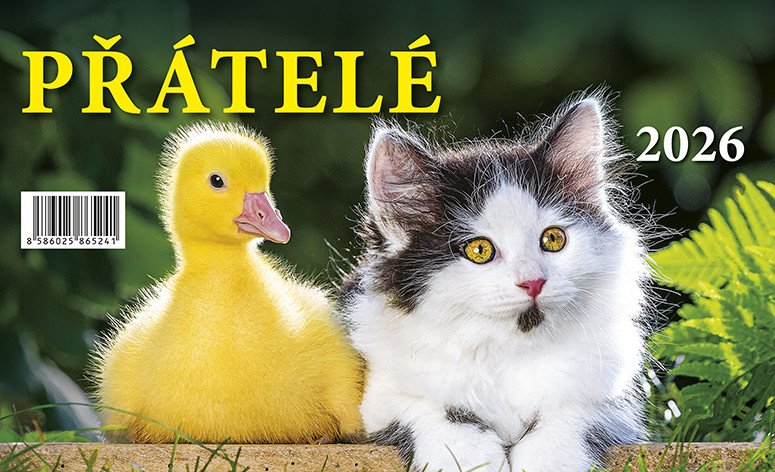 Kalendář 2026 Přátelé stolní 23 x 14 cm