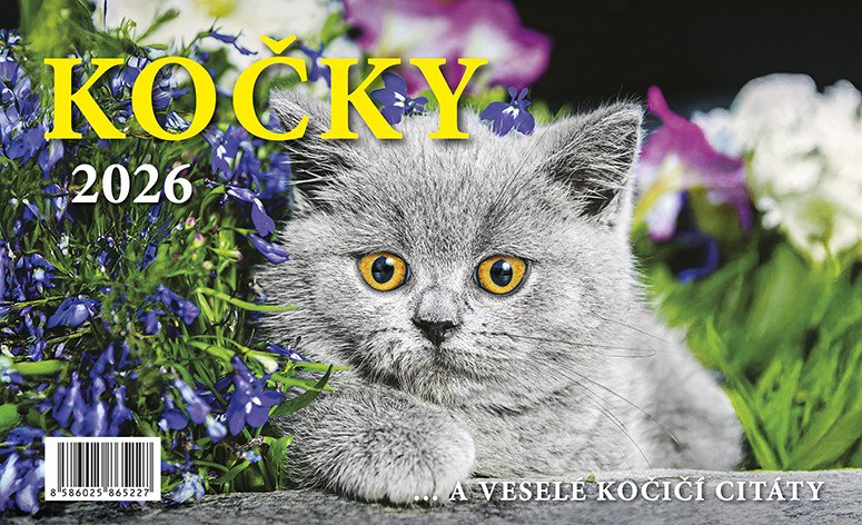 Kalendář 2026 Kočky stolní 23 x 14 cm
