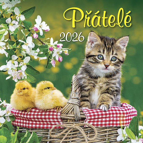 Kalendář 2026 Přátelé nástěnný 33 x 33 cm