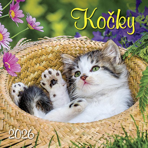 Kalendář 2026 Kočky nástěnný 33 x 33 cm