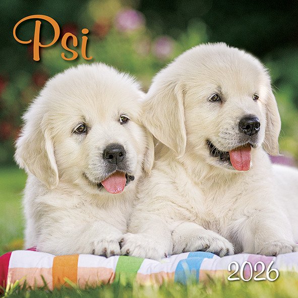Kalendář 2026 Psi nástěnný 33 x 33 cm