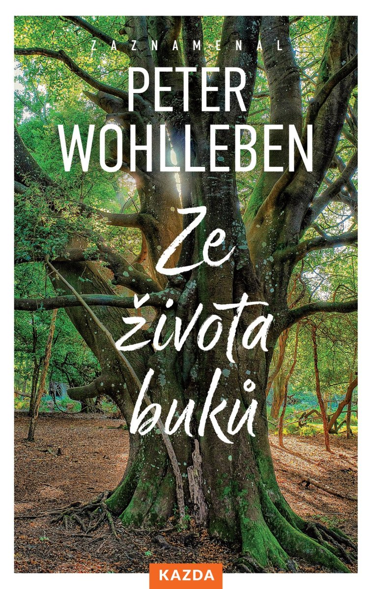 Ze života buků - Strom vypráví svůj úžasný příběh – Wohlleben Peter