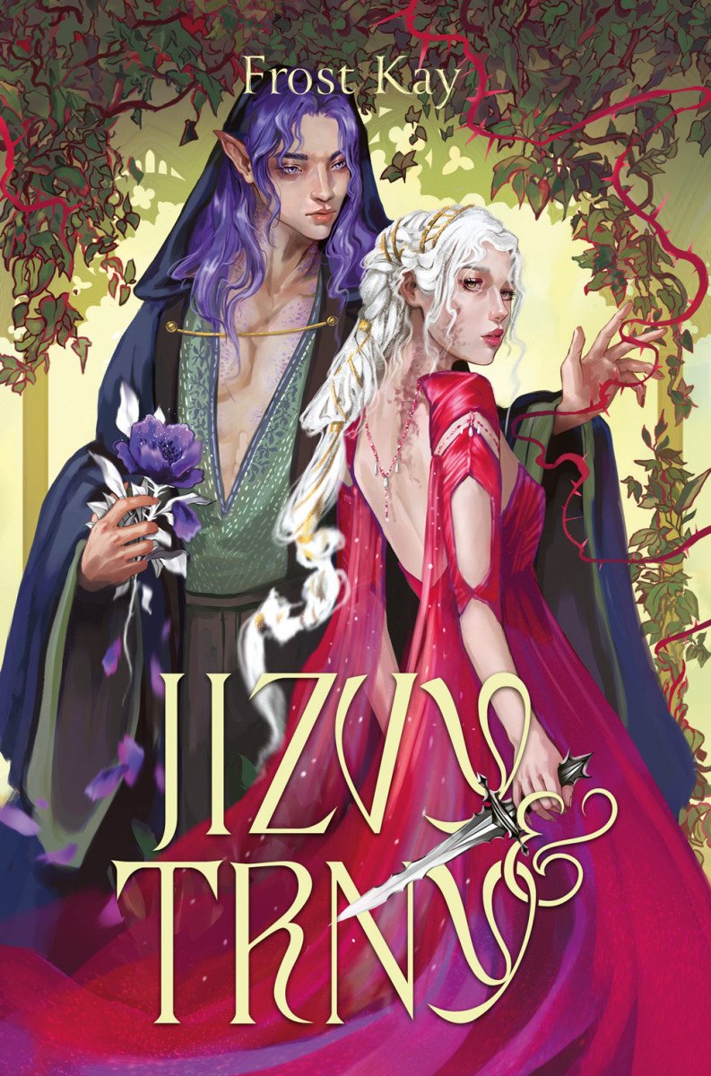 Jizvy a trny – Kay Frost