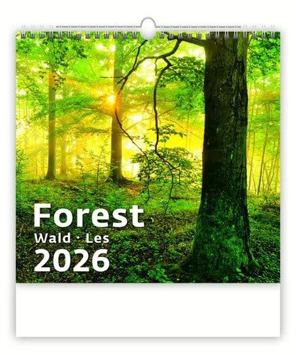 Kalendář nástěnný 2026 - ForestWaldLes