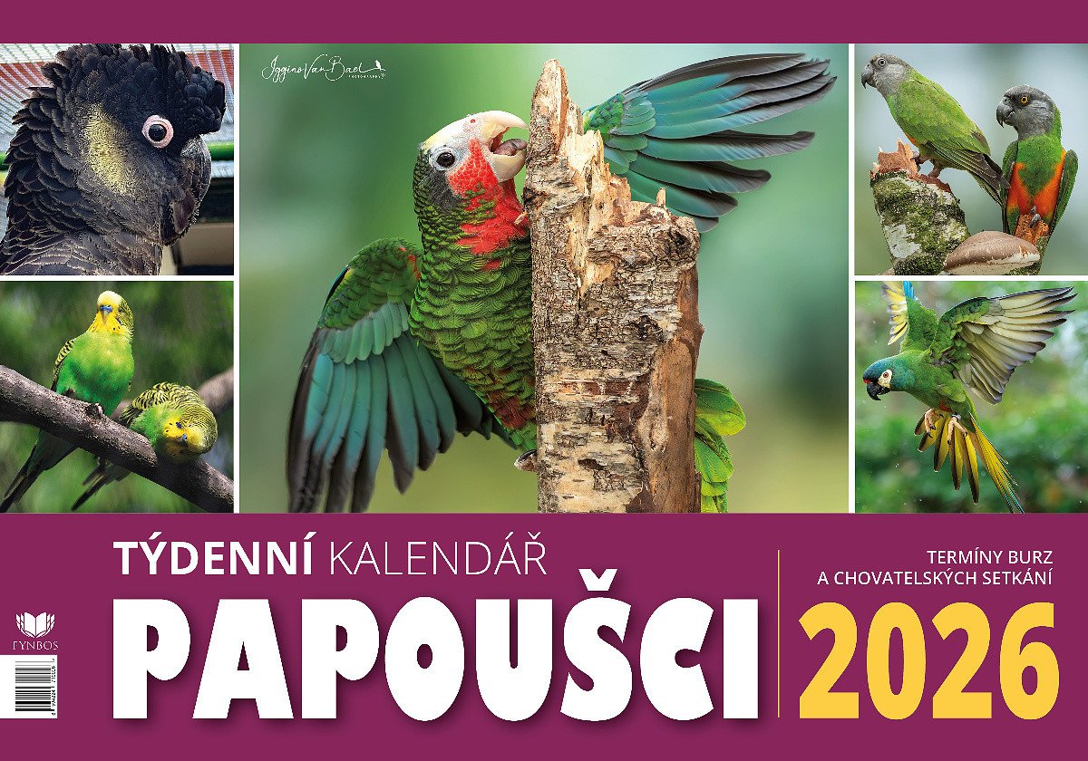 Kalendář 2026 Papoušci - stolní týdenní