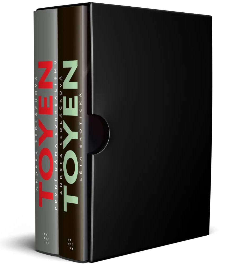 Toyen BOX 1-2 – Sedláčková Andrea