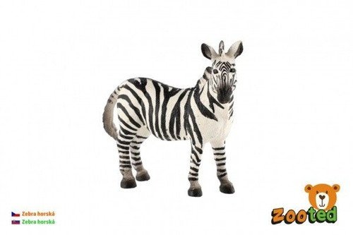Zebra horská