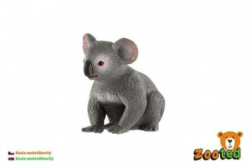 Koala medvídkovitý