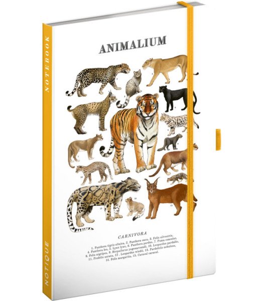 Notes Animalium - Kočkovité šelmy, linkovaný, 13 x 21 cm