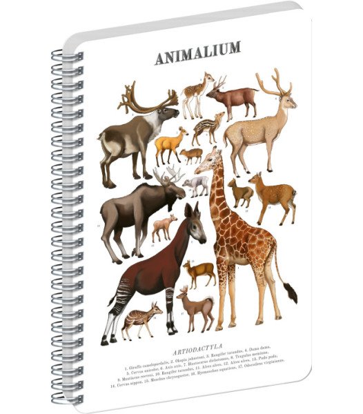 Spirálový blok Animalium - Sudokopytníci, čistý, A5