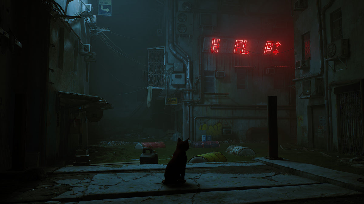 Stray (Nintendo Switch)