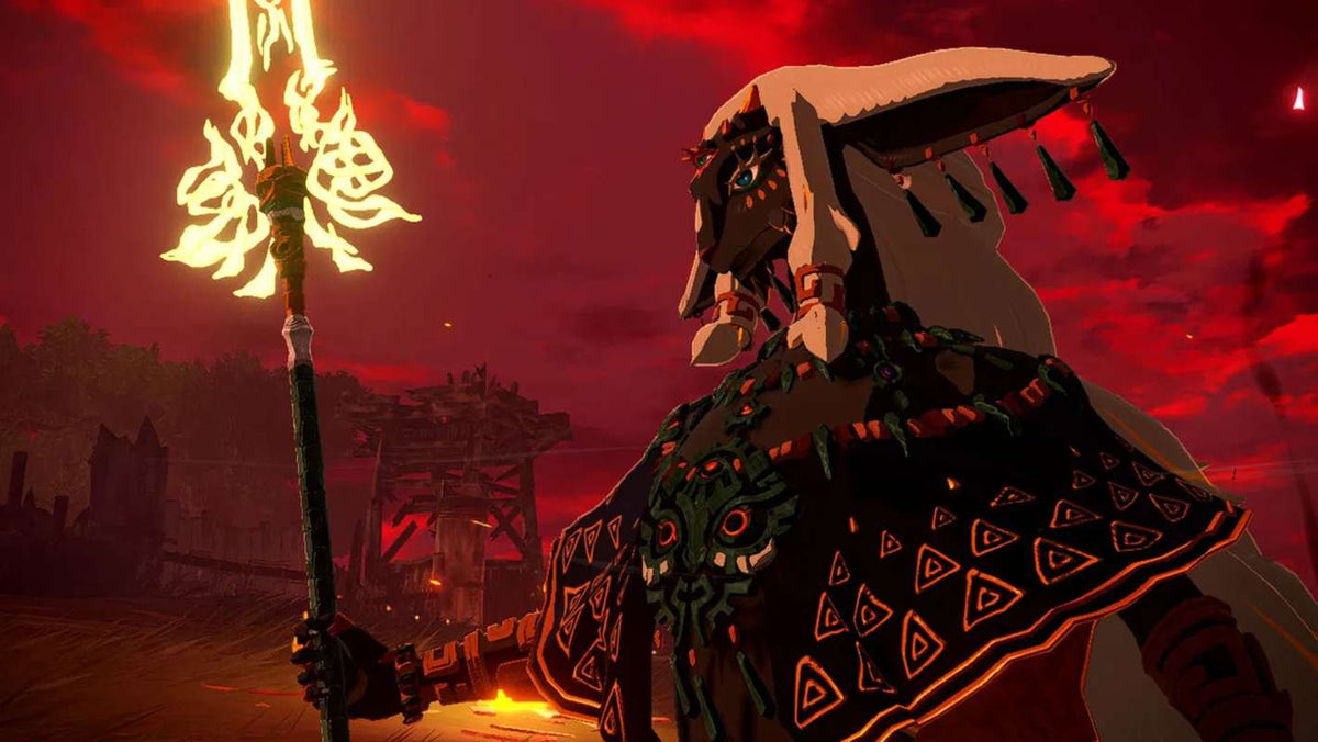 Hyrule Warriors: Age of Imprisonment (Nintendo Switch 2)