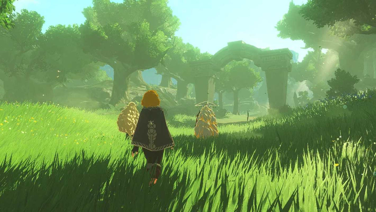 Hyrule Warriors: Age of Imprisonment (Nintendo Switch 2)