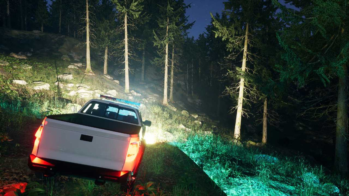 Park Ranger Simulator (PS5)