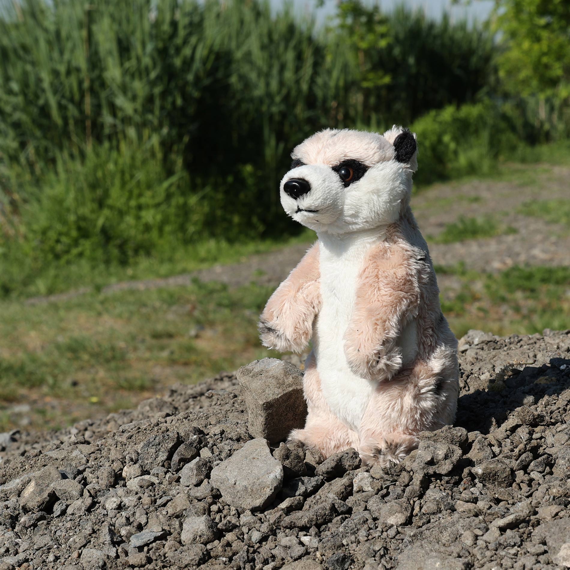 Eco-friendly plush meerkat 14 cm