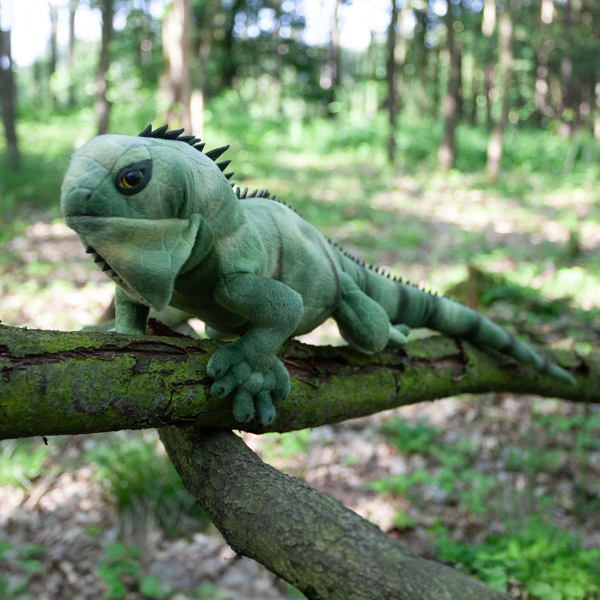 Green Plush Iguana 68 cm
