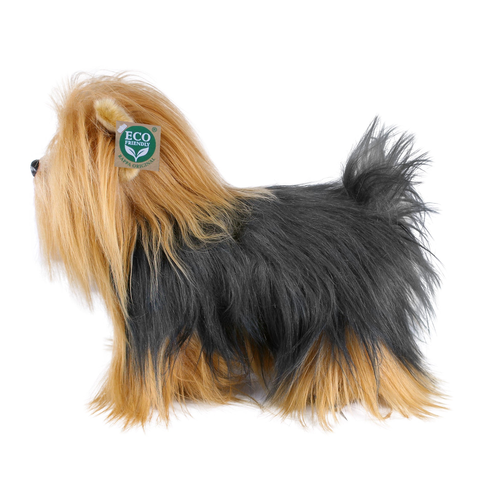 Plush Yorkshire terrier standing 30 cm