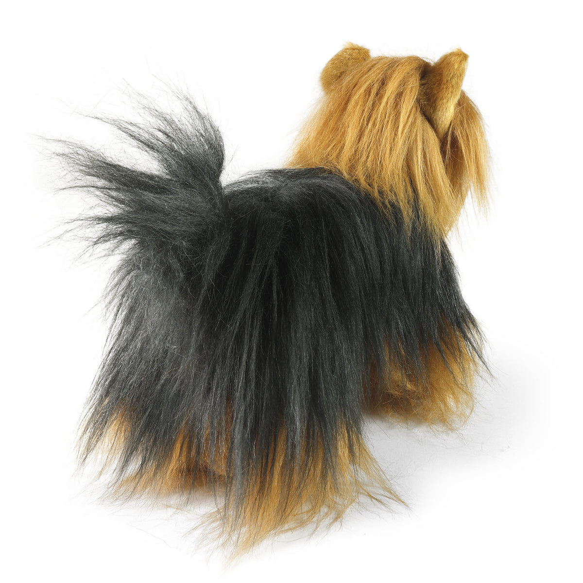 Plush Yorkshire terrier standing 30 cm